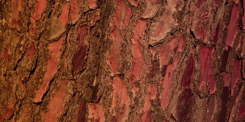 Wooden pine plank dark wall brown wood background concept horror texture banner