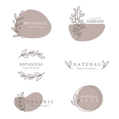 Collection of natural botanical logo design elements. Hand drawn leaves and branches.