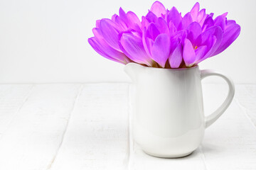 Bouquet of flowers Colchicum autumnale in vase on white background Copy space