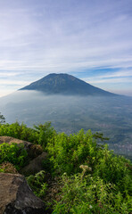 Landscape photo of mountain taken from highland with tree and bushes foreground . this is the view from top of Mount Telomoyo