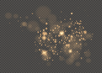 The dust sparks and golden stars shine with special light. Vector sparkles on a transparent background. Christmas light effect.