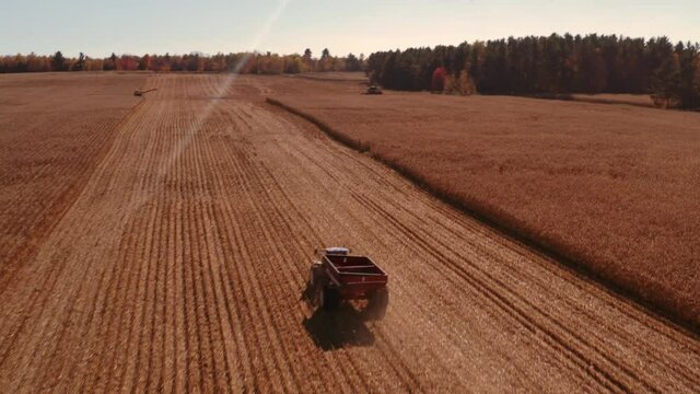 4K AERIAL FOOTAGE OF COMBINE OPERATION WITH SUPPORTING TRACTORS REAPING WEATH IN QUEBEC CANADA