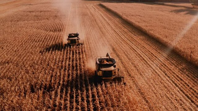 4K AERIAL FOOTAGE OF COMBINE OPERATION WITH SUPPORTING TRACTORS REAPING WEATH IN QUEBEC CANADA