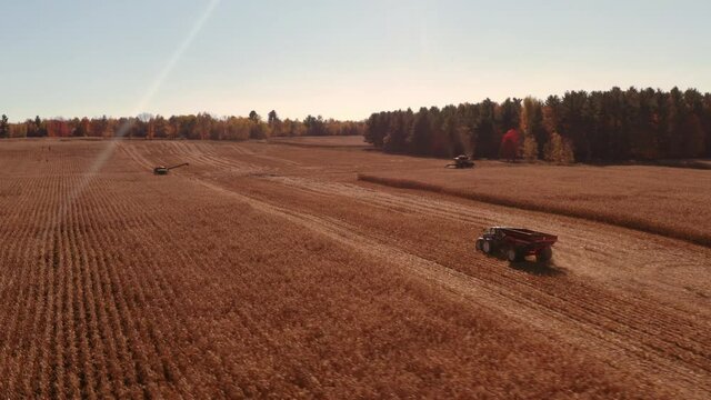 4K AERIAL FOOTAGE OF COMBINE OPERATION WITH SUPPORTING TRACTORS REAPING WEATH IN QUEBEC CANADA