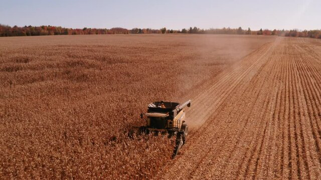 4K AERIAL FOOTAGE OF COMBINE OPERATION WITH SUPPORTING TRACTORS REAPING WEATH IN QUEBEC CANADA