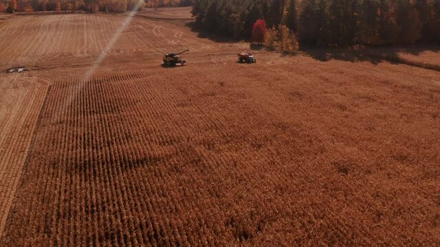 4K AERIAL FOOTAGE OF COMBINE OPERATION WITH SUPPORTING TRACTORS REAPING WEATH IN QUEBEC CANADA