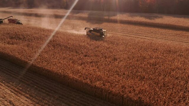 4K AERIAL FOOTAGE OF COMBINE OPERATION WITH SUPPORTING TRACTORS REAPING WEATH IN QUEBEC CANADA