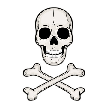 Human skull and crossbones. Pirate flag. Jolly Roger. Drawn by hand. Vector illustration isolated on white background. Outline freehand drawn. Coloring book page