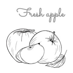 Fruit set: apple, slice cut pieces. Vector illustration isolated on a white background. Coloring page book. Sketch image in engraving style. Outline freehand drawn