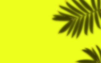 Shadow palm leaves laying on yellow background