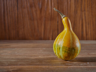 Variety of edible and decorative gourds and pumpkins. Autumn composition of different squash types...