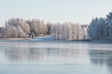 Naklejka na ściany i meble Wonderful white winter landscape with frozen lake, reeds and forest with white trees covered by frost and snow