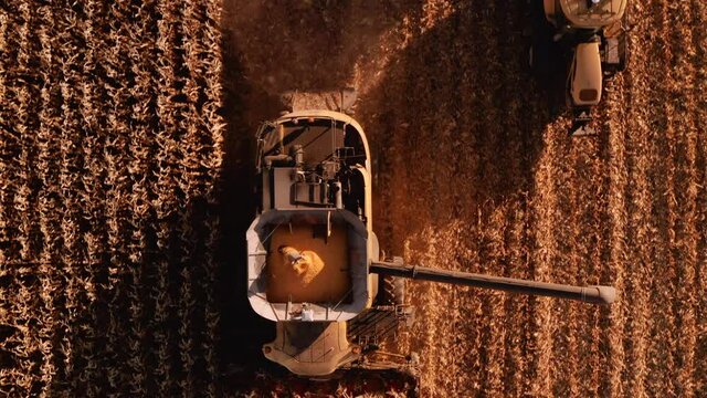 4K AERIAL FOOTAGE OF COMBINE OPERATION WITH SUPPORTING TRACTORS REAPING WEATH IN QUEBEC CANADA
