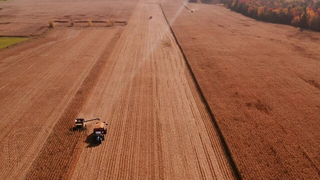 4K AERIAL FOOTAGE OF COMBINE OPERATION WITH SUPPORTING TRACTORS REAPING WEATH IN QUEBEC CANADA