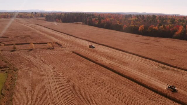 4K AERIAL FOOTAGE OF COMBINE OPERATION WITH SUPPORTING TRACTORS REAPING WEATH IN QUEBEC CANADA