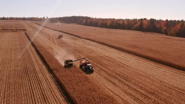 4K AERIAL FOOTAGE OF COMBINE OPERATION WITH SUPPORTING TRACTORS REAPING WEATH IN QUEBEC CANADA