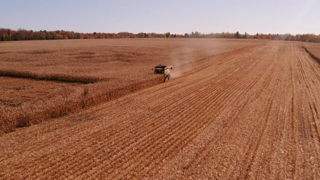 4K AERIAL FOOTAGE OF COMBINE OPERATION WITH SUPPORTING TRACTORS REAPING WEATH IN QUEBEC CANADA