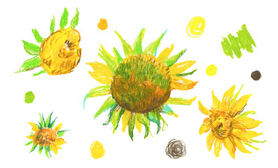 Set of yellow sunflowers in wax crayons on white isolated background.Autumn botanical baby flowers in doodle style hand drawn pastel pencils.Designs for cards social media,posters,prints,invitations.