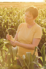 Female farmer inspecting corn tassel