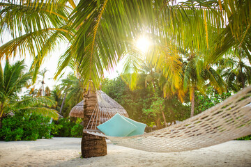 Ultimate relaxation, hanging hammock on palm tree with soft sun rays under palm leaves. Tropical island nature, paradise traveling destination, summer beach vacation, romantic luxury leisure lifestyle