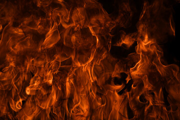Blaze burning fire flame on art texture background.