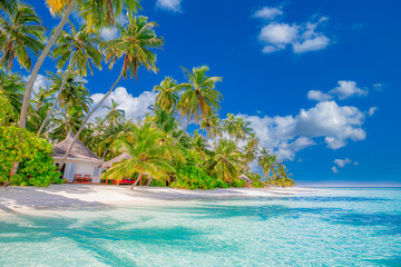 Tropical resort hotel beach paradise. Amazing nature, coast, shore. Summer vacation, travel adventure. Luxury holiday landscape, stunning ocean lagoon, blue sky palm trees. relax idyllic inspire beach