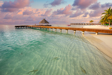 Fantastic sunset beach shore, shallows with sting rays and sharks in Maldives islands. Luxury resort hotel, wooden jetty, over water villa, bungalow. Amazing traveling, vacation landscape wildlife