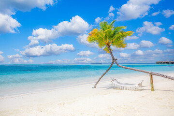 Scenic tropical beach as summer landscape with beach swing or hammock hanging on palm tree over...