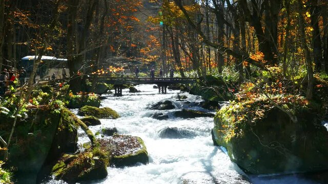 Oirase Stream (Oirase Keiryū) is a picturesque mountain stream in Aomori Prefecture that is one of Japan's most famous and popular autumn colors destinations