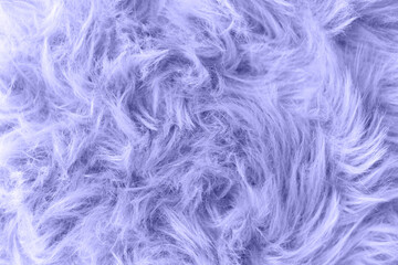 Color of the year 2022, Very Peri. Top view Fluffy wool texture sample. Fashionable beauty, trendy and modern design concept.