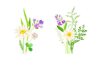 Set of summer blooming wildflowers set. Beautiful bouquets of meadow flowers and grass, chamomile, phlox, clover vector illustration