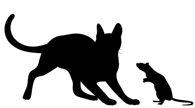 silhouette cat and mouse white background, isolated, vector