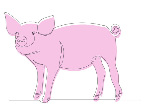 pink pig, picture sketch, vector, isolated