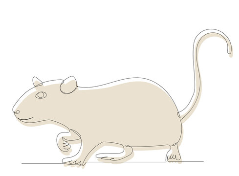 white mouse, picture sketch, vector, isolated
