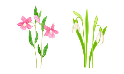 Obraz na płótnie Canvas Set of summer meadow or garden flowers set vector illustration