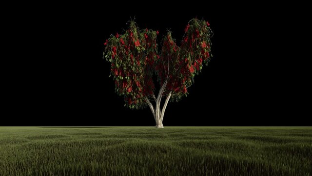 Bottlebrush tree with flowers against the blue sky, loop, Alpha Channel, 4K 