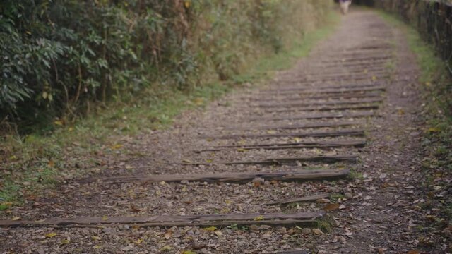 Abandoned Railway Sleepers converted to Hiking Trail, Takedao Japan