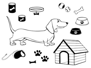 Dachshund, basset hound, beagle, pet. Silhouette of the cute dog in cartoon style. Accessories for dog. Vector illustration isolated on white background. Outline freehand drawn. Coloring page book. 