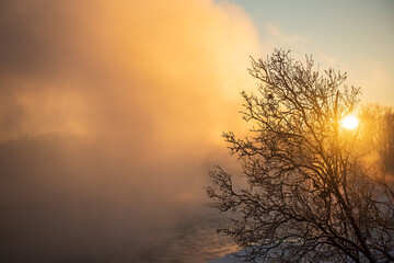 Fototapeta na wymiar Foggy sunrise and tree by the Venta river waterfall in winter, Kuldiga, Latvia