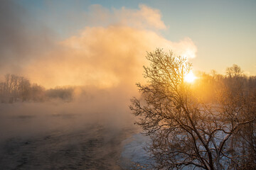Naklejka premium Foggy sunrise and tree by the Venta river waterfall in winter, Kuldiga, Latvia