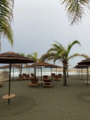 empty beach at the sea, palms, cloudy weather, law season
