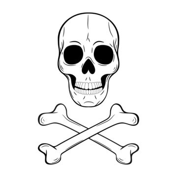Human skull and crossbones. Pirate flag. Jolly Roger. Drawn by hand. Vector illustration isolated on white background. Outline freehand drawn. Coloring book page