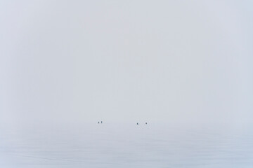 Fishermen on Kaunas sea ice in winter