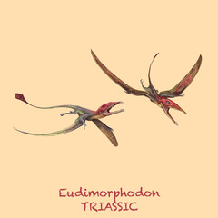 eudimorphodon TRIASSIC. A collection of various dinosaurs and reptiles that lived during the Triassic Period of Earth's history © David Costa Art