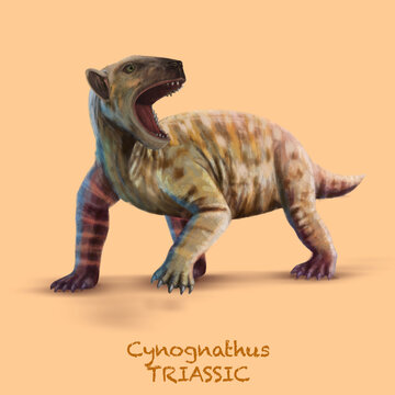 Cynognathus TRIASSIC. A collection of various dinosaurs and reptiles that lived during the Triassic Period of Earth's history