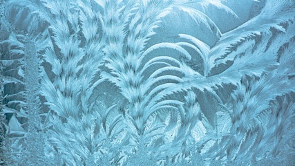 The magical frosty pattern on the window glass resembles outlandish plants. Natural texture
