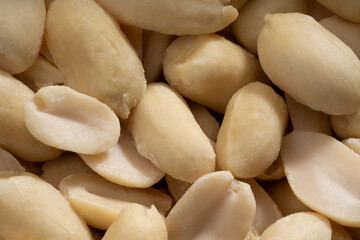 Detailed and large close up shot of peanut.