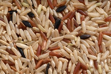 Detailed and large close up shot of rice grain.