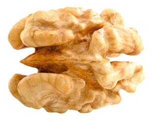 Walnut isolated on white background. Clipping Path. Kernel walnut