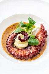 octopus with mashed potato  and sauce